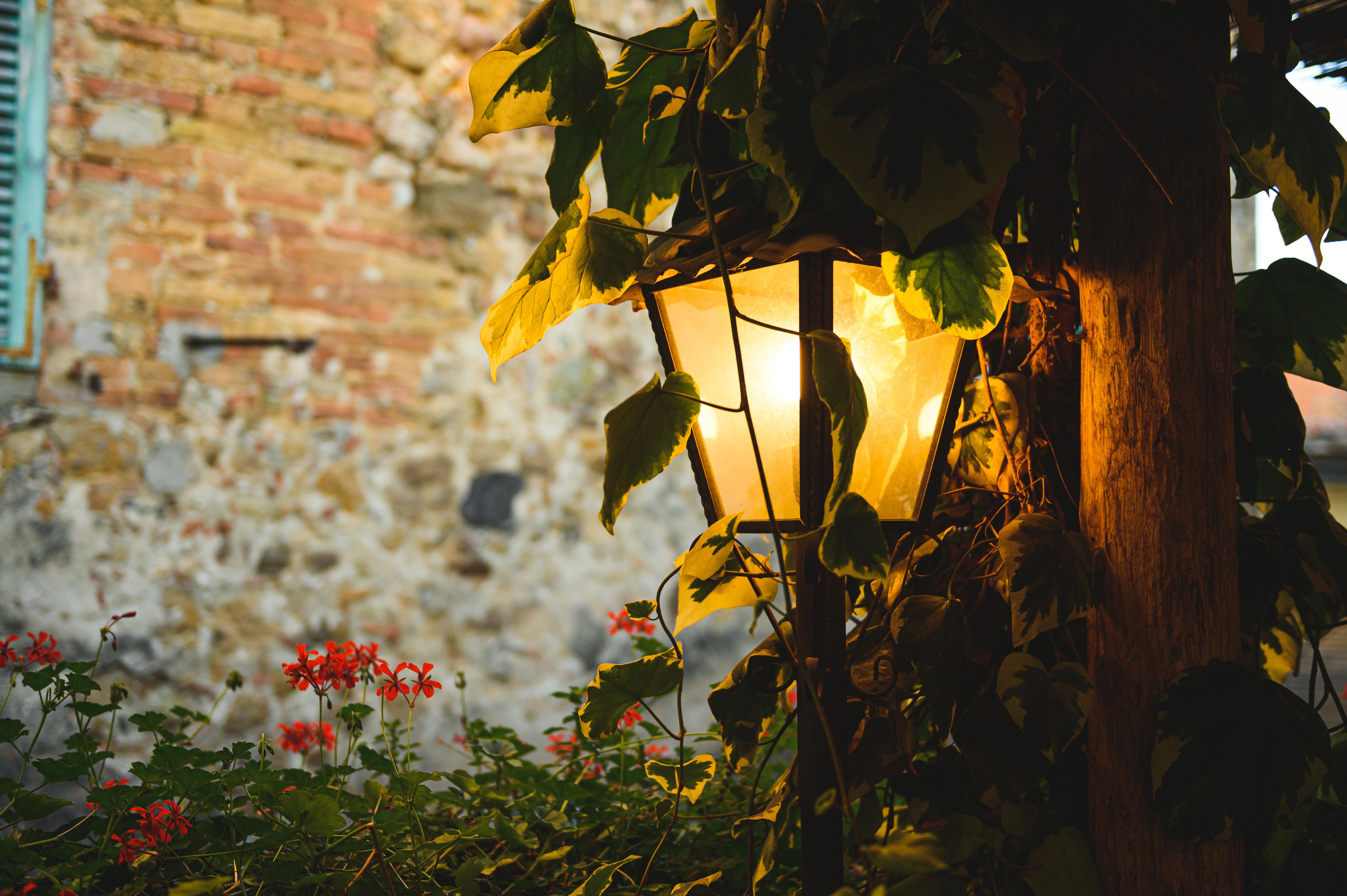 Palazzo Del Capitano Wellness E Relais Hotel San Quirico dʼOrcia Екстериор снимка